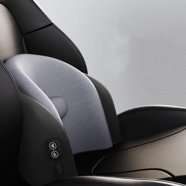 Electric Car Massager
