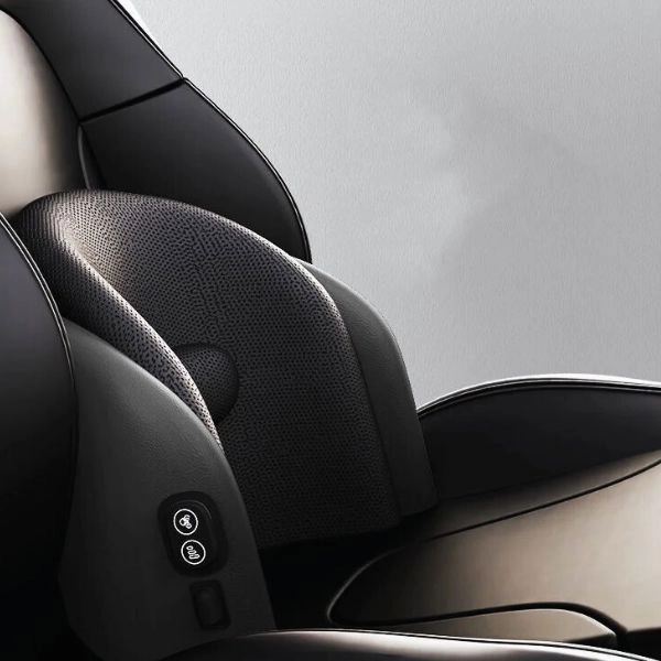 Vehicle Wellness