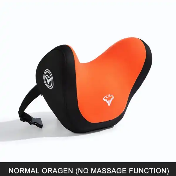 Posture Corrector Car