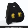 Automotive Back Support